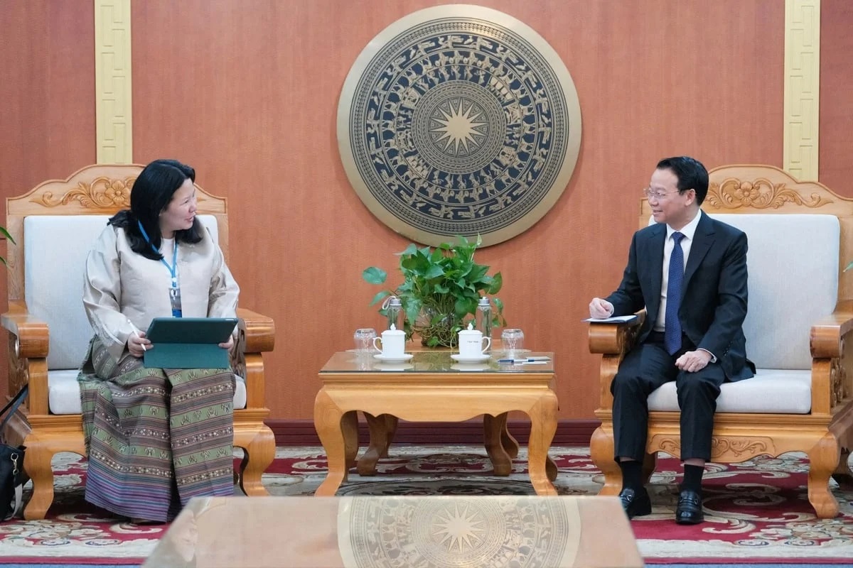 UNEP stands ready to support to Vietnam in developing its carbon market