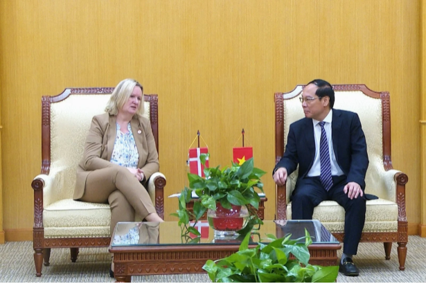 Vietnam - Denmark: Developing green energy and promoting trade
