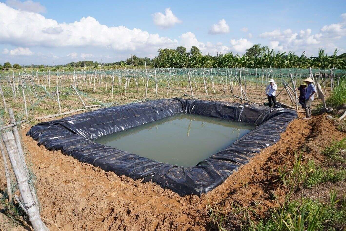 International collaboration to enhance climate change mitigation 