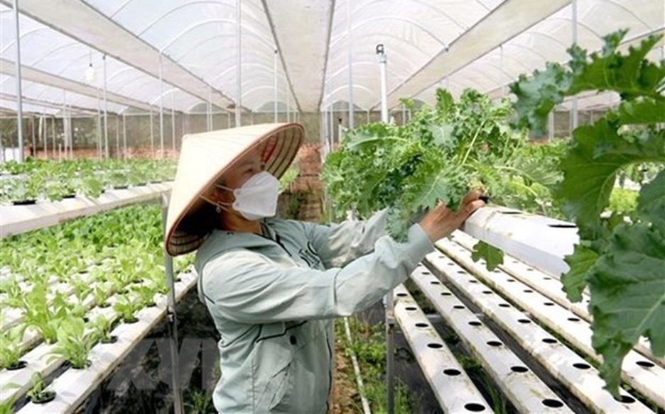 Supporting women-led green transition initiatives