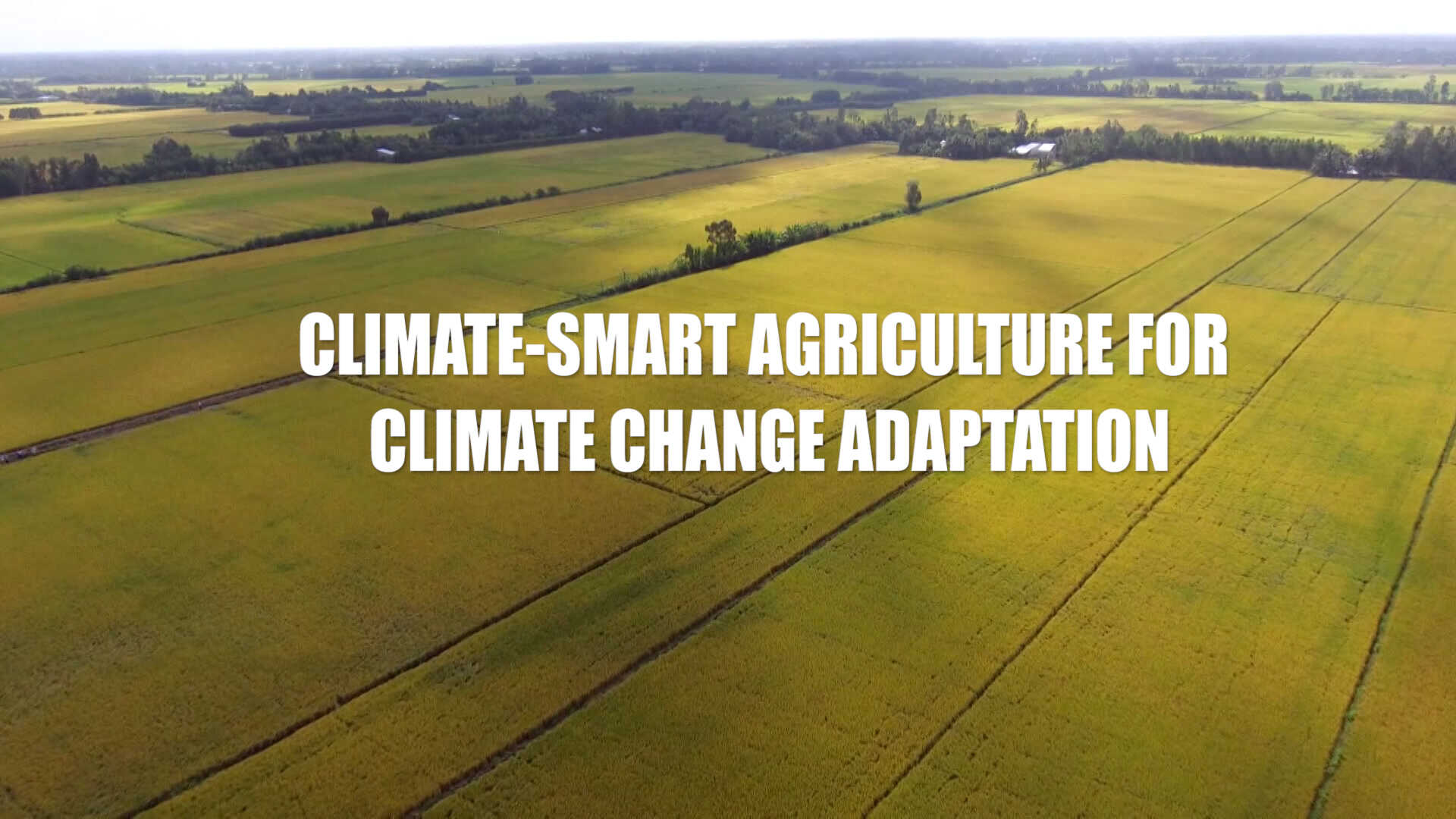 Climate-smart agriculture for climate change adaptation