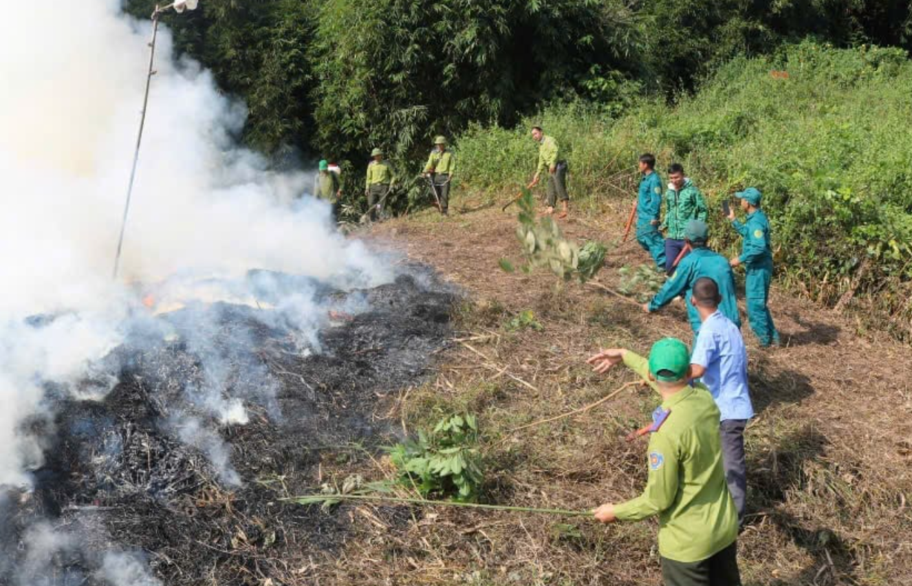 Forest fire risk hits highest level nationwide