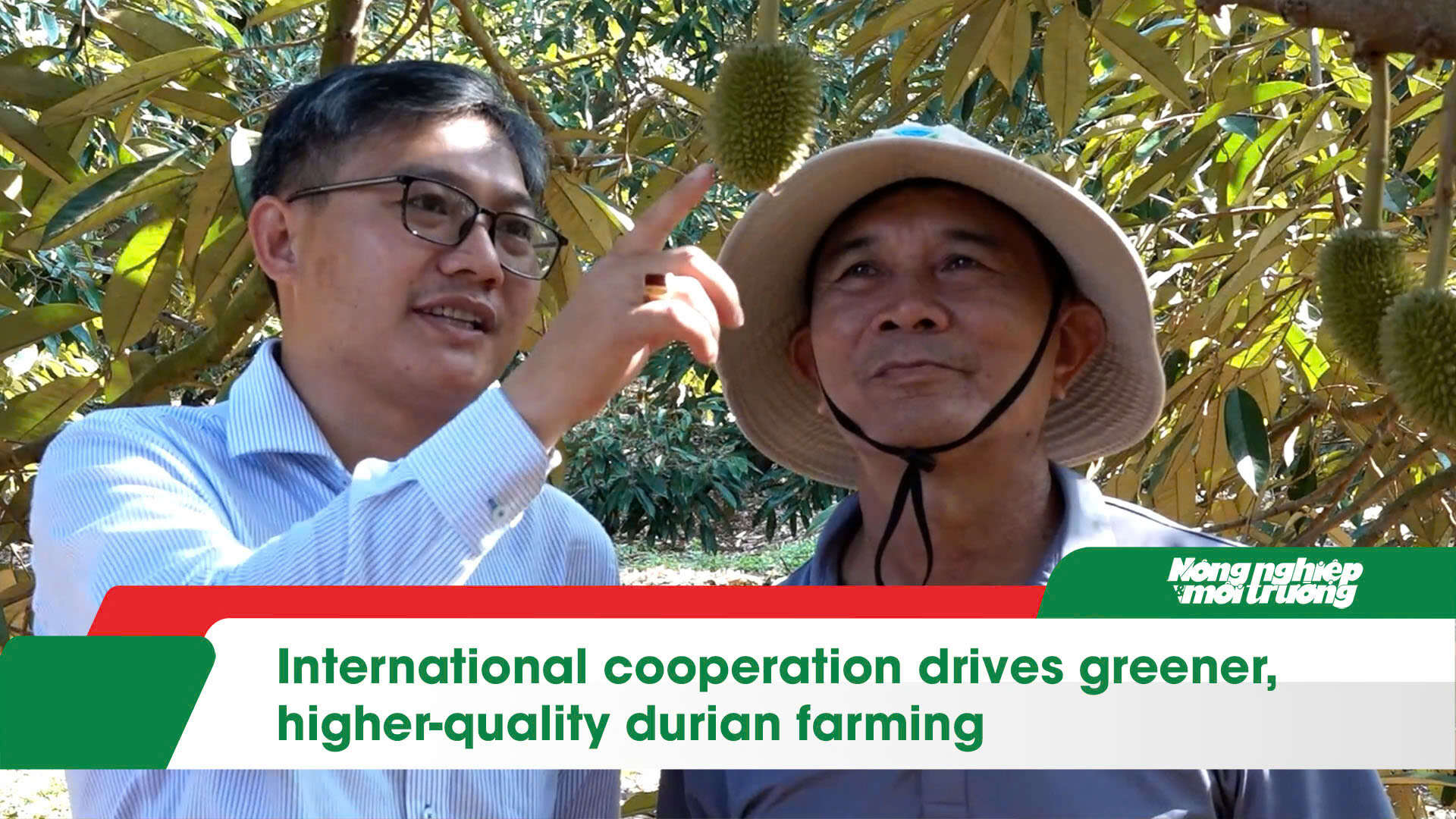 International cooperation drives greener, higher-quality durian farming