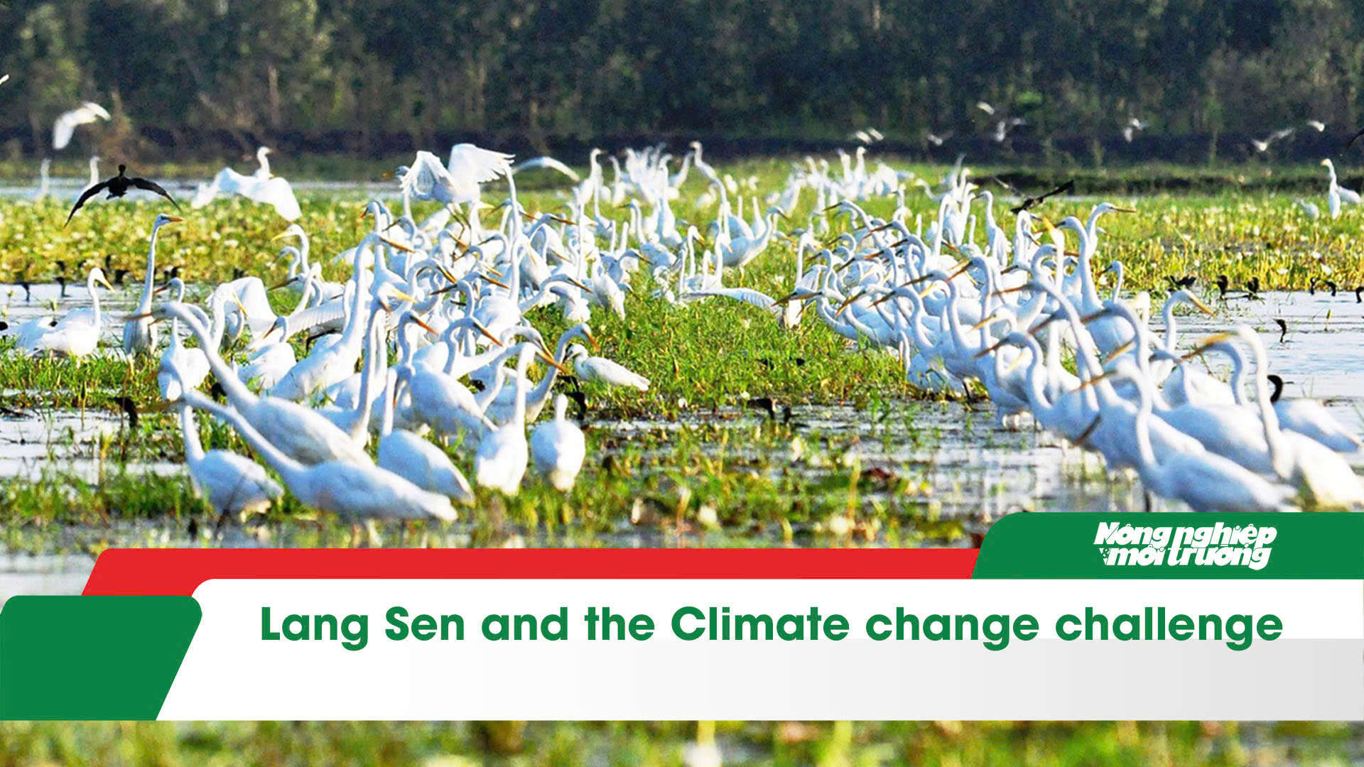 Lang Sen and the Climate change challenge