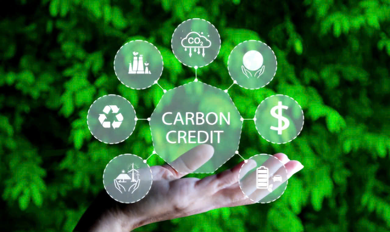 Carbon market – a new field for Vietnamese businesses